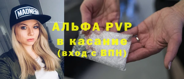 сатива Алексин